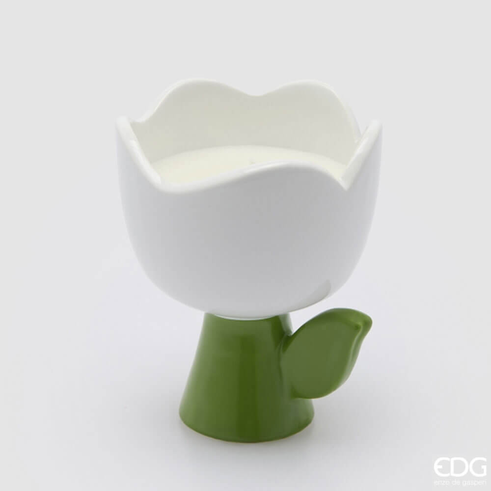 EDG Candela profumata Tulip Frangipani H11